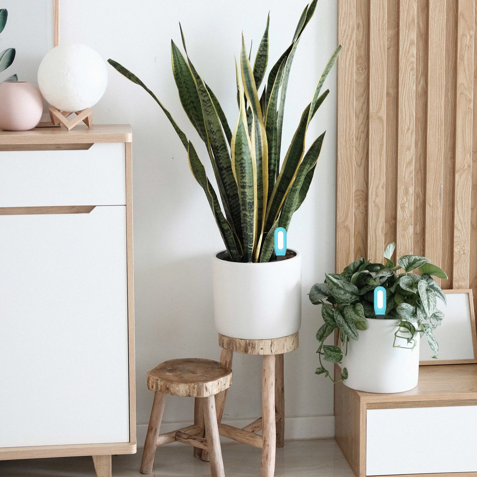 Smart Zigbee Soil Tester Temperature and Humidity